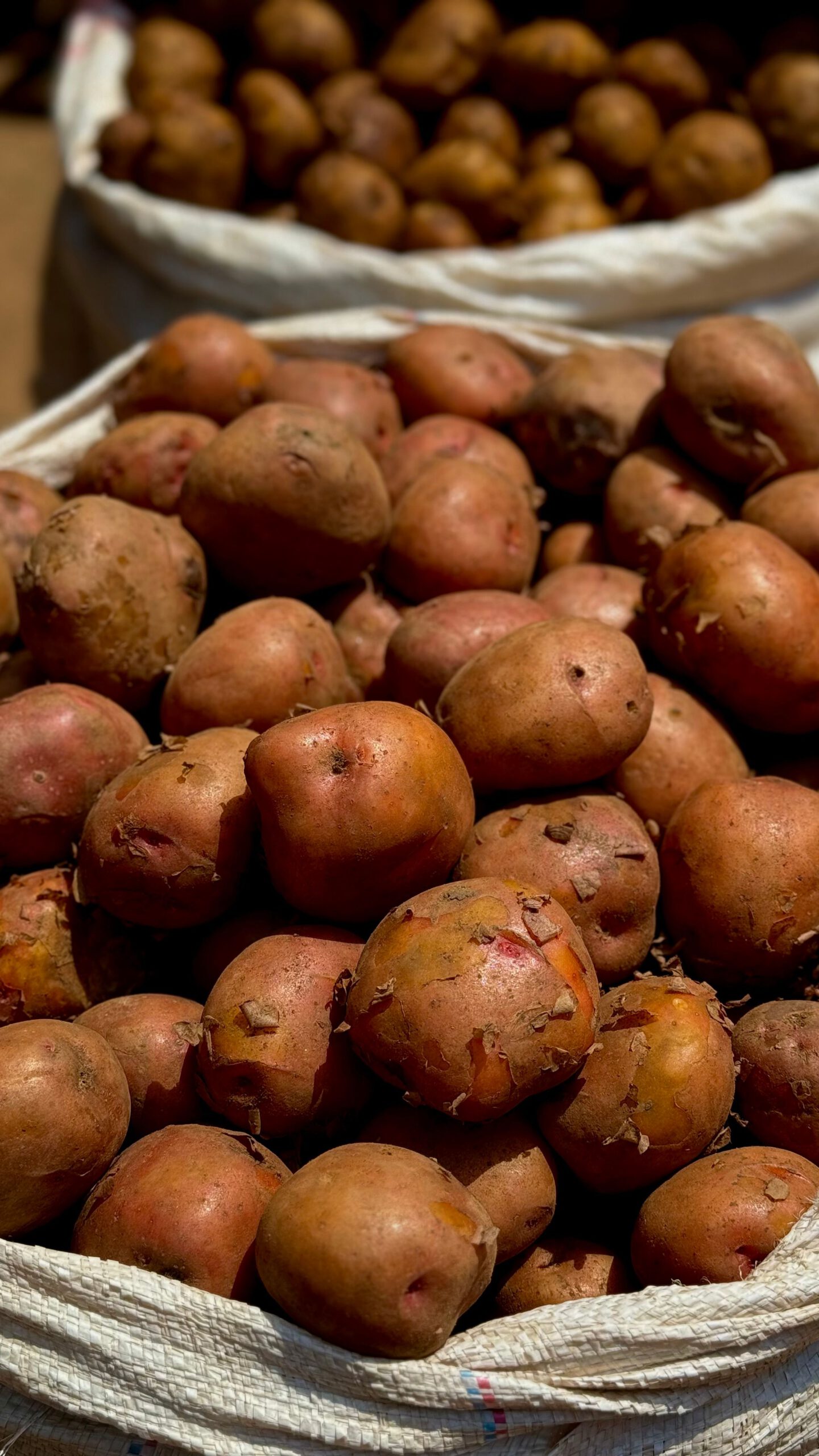 Close-up of fresh potatoes in a basket at a market, ideal for cooking and nutrition concepts.